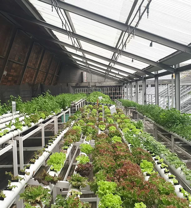 RO Water Purification Solution for Commercial Agriculture