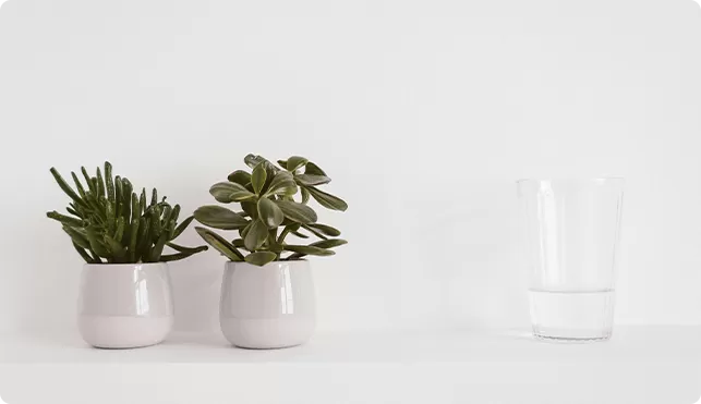 The Importance of Water  Filtration: Essential  Knowledge