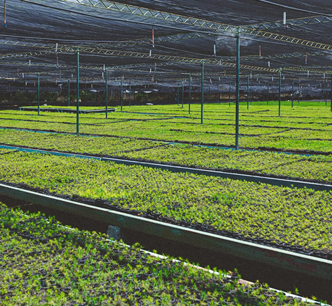 Why Water Quality Matters for Commercial Agriculture