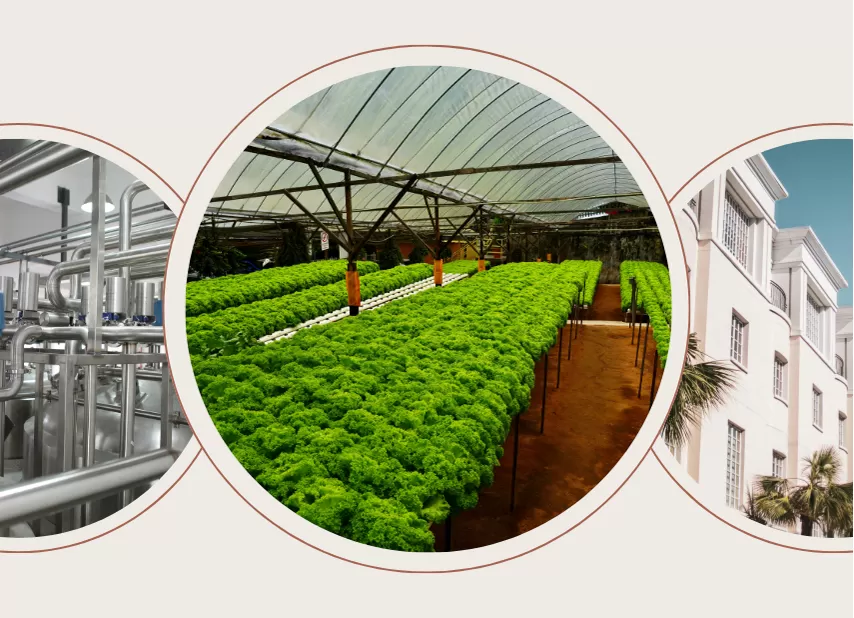 Wide Application Use